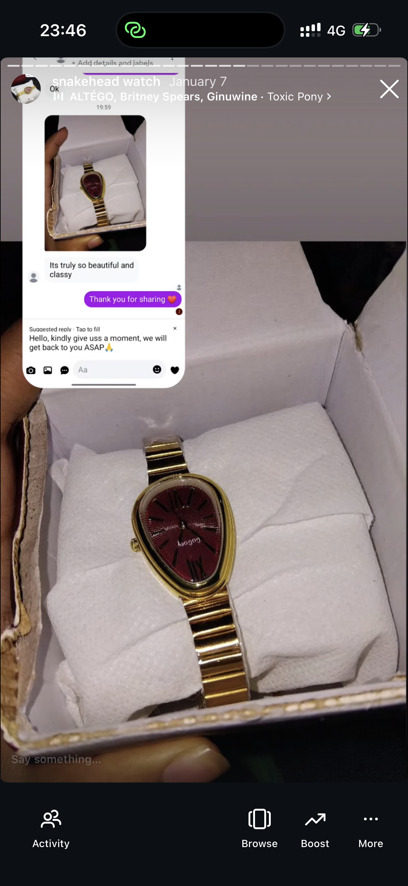 Maroon snakehead + Clover Bracelet (Free)+ Mystery Ring (Free)