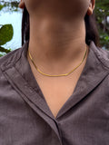 Snakebone necklace